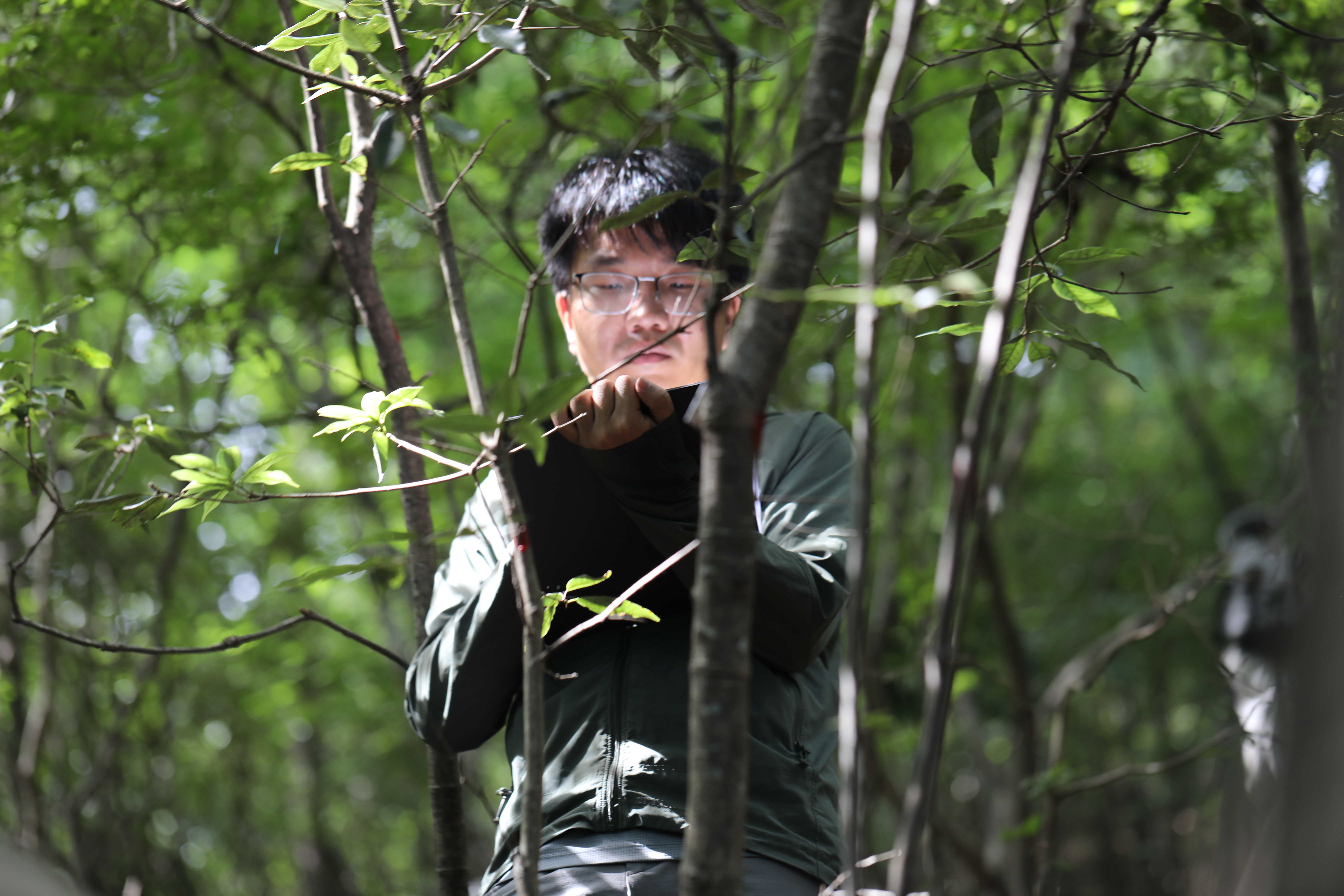 Pengcheng Liu