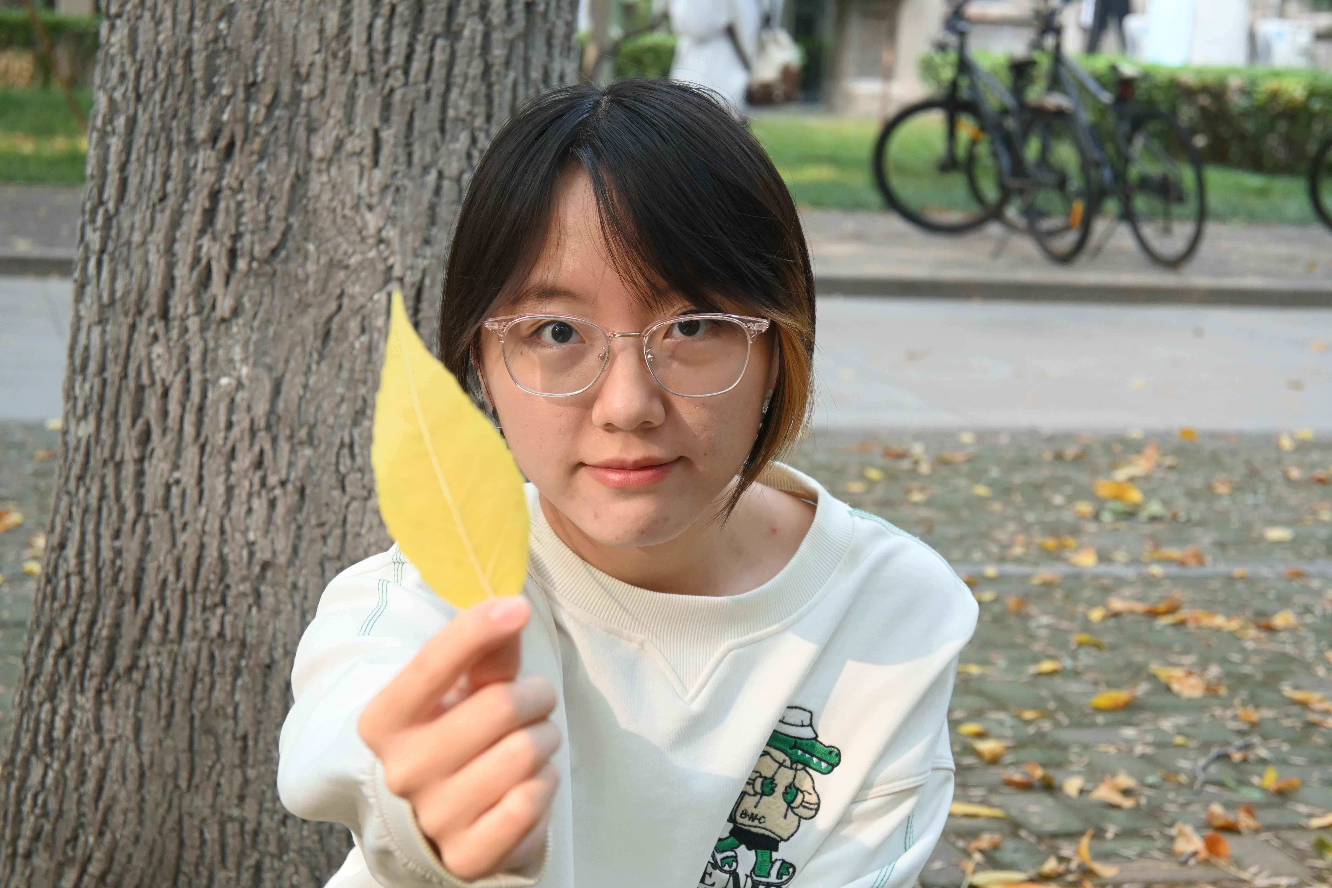 Yangjing Xu