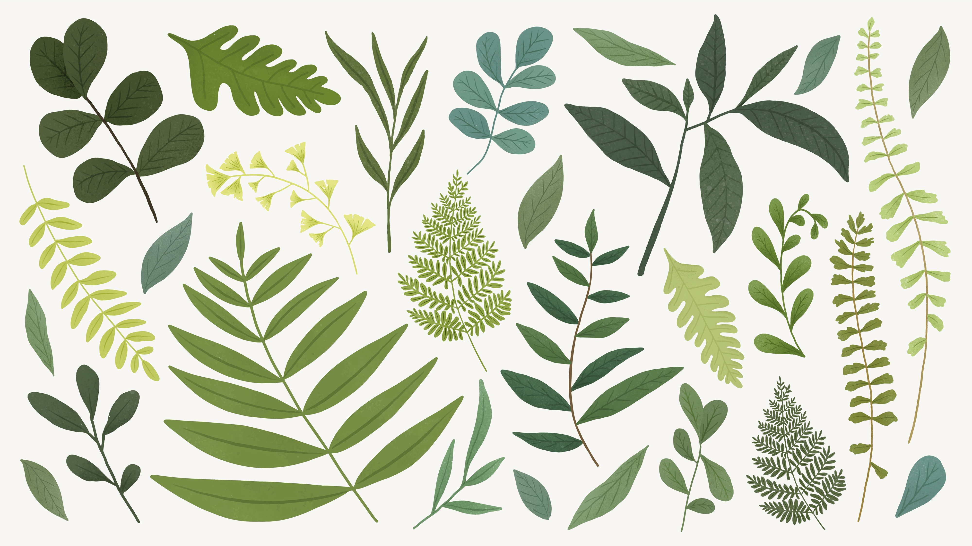 Plant traits
